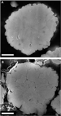 Developing rapid electrochemical relithiation protocols for scalable relithiation of lithium-ion battery cathode materials